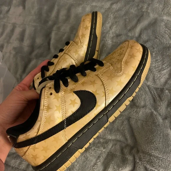 Nike trickstar dunk